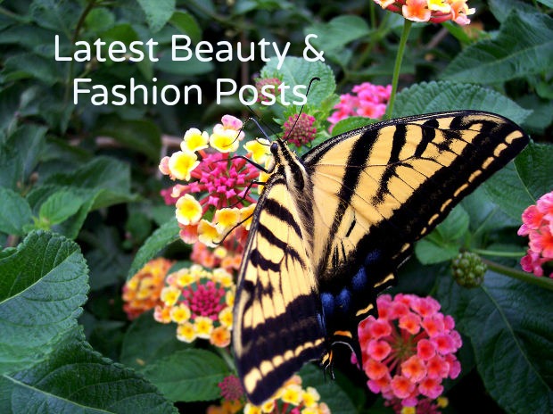 Latest beauty and fashion posts