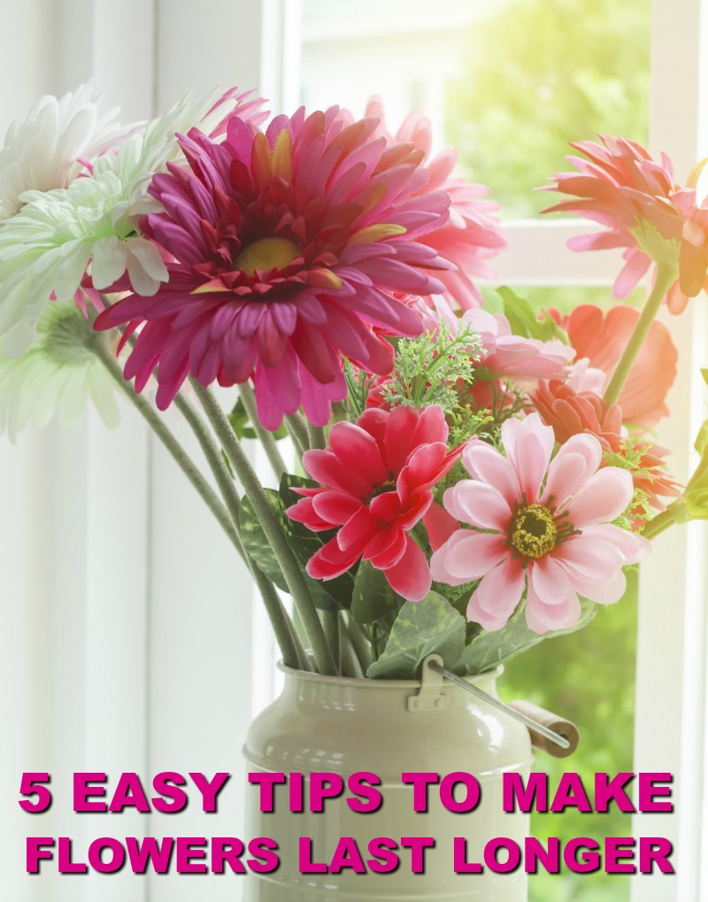 How To Make Flowers Last Longer With These Tips