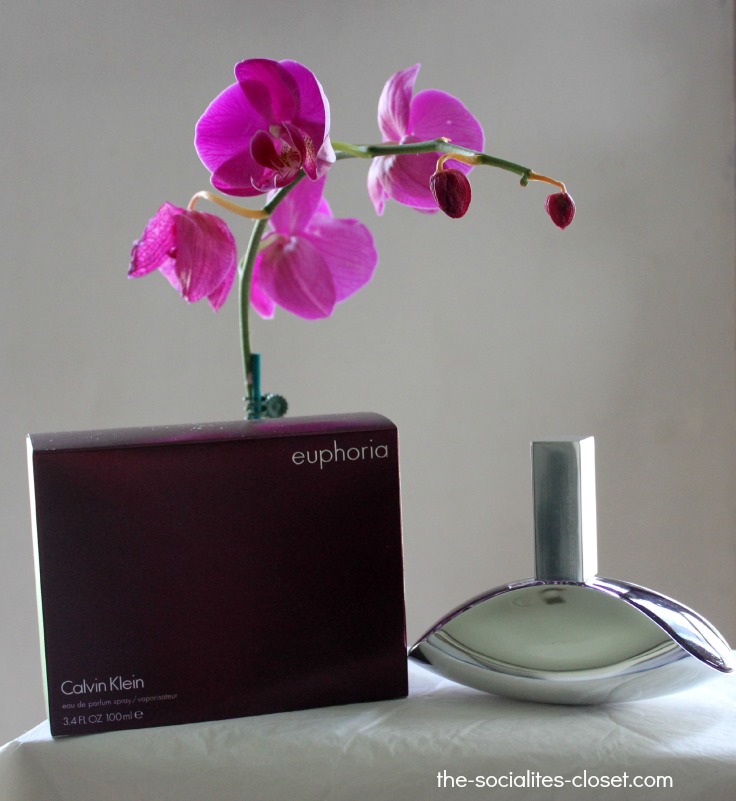 euphoria Calvin Klein Perfume #MC #sponsored