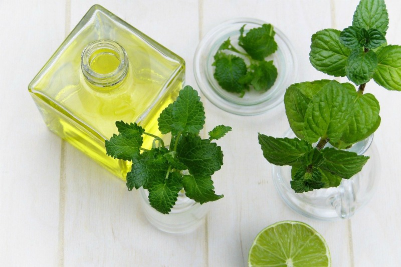peppermint essential oil and leaves