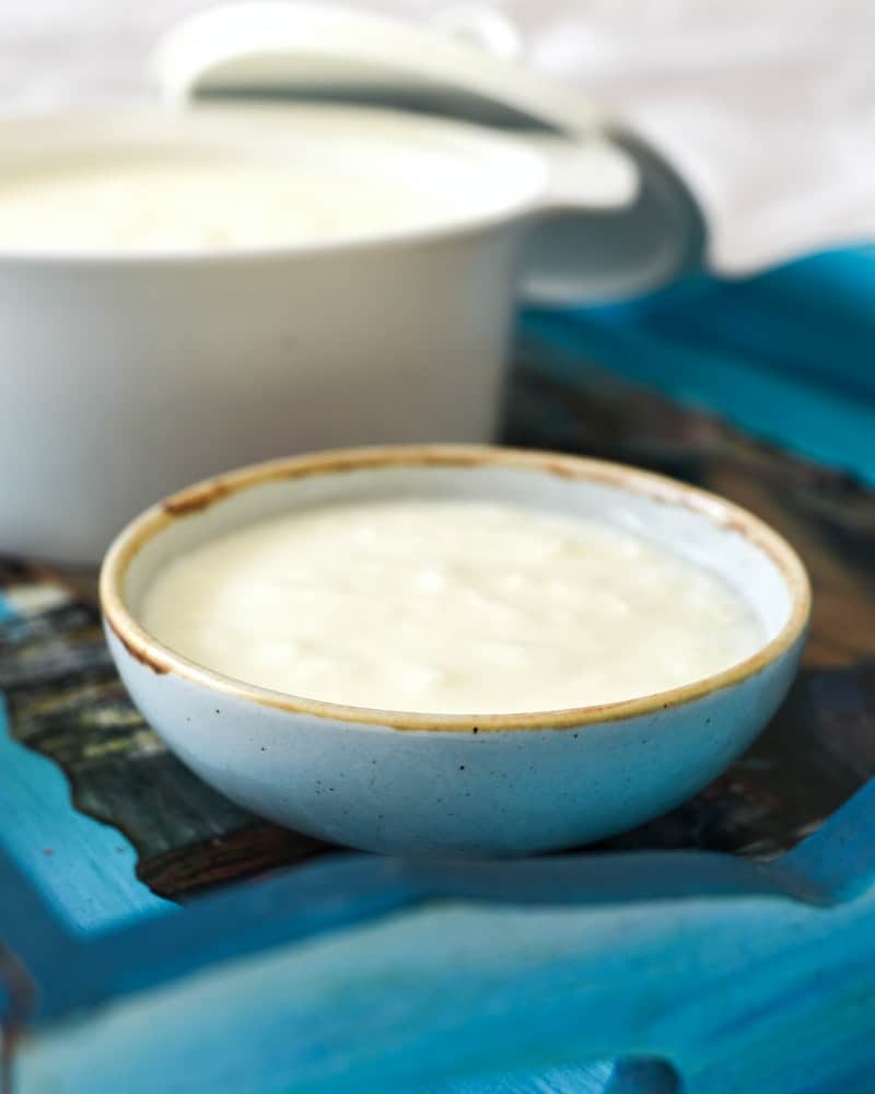 a bowl of plain yogurt