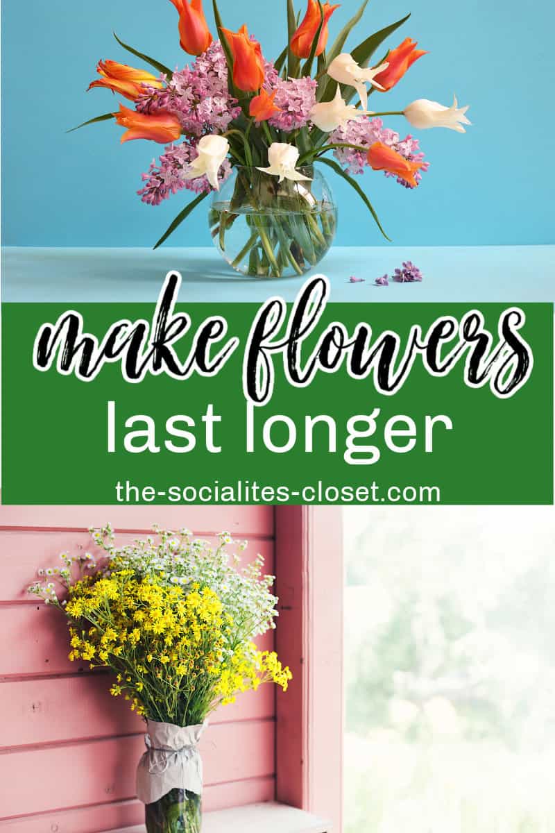 Do you wonder how to make flowers last longer? I love getting flowers but it can be disappointing when they fade too quickly. 