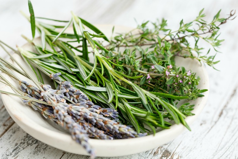 lavender and herbs in a white bowl