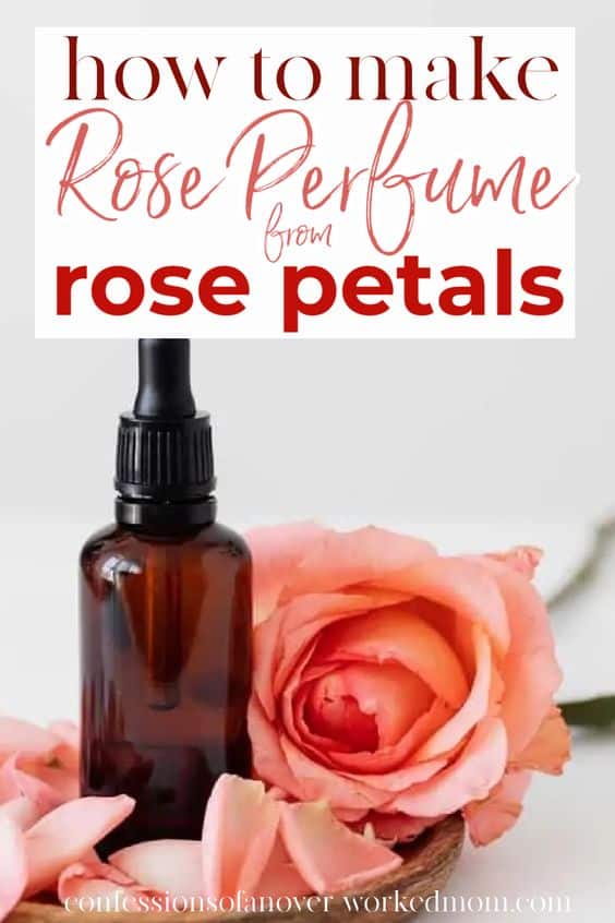Are you wondering how to make rose perfume? Learn how to make rose perfume without alcohol in this simple homemade perfume tutorial.