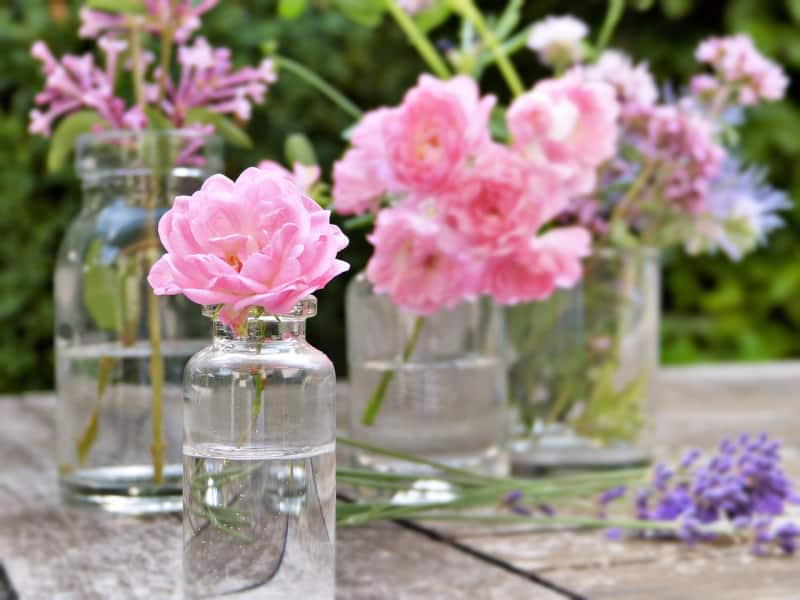pink flower buds in old perfume bottles