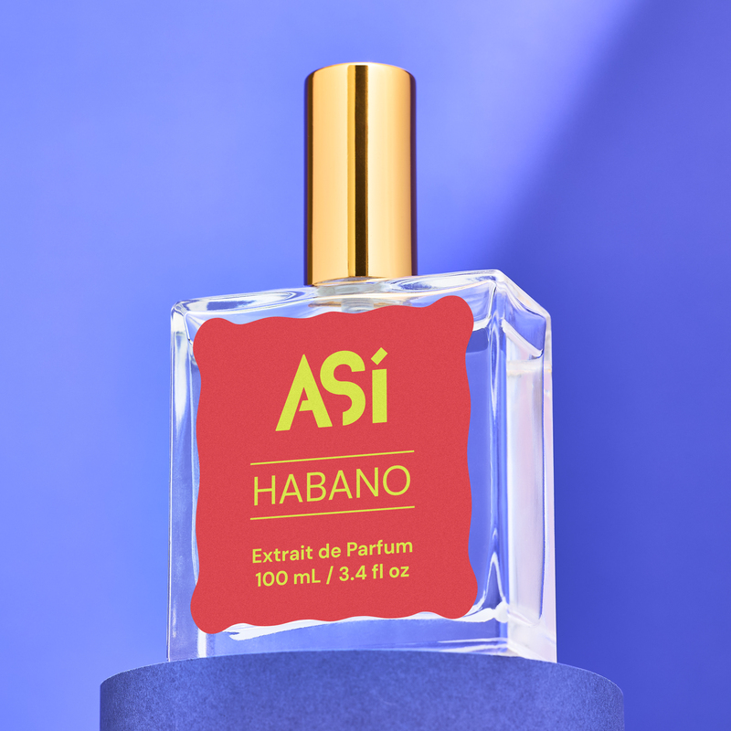 Así Fragrances: Affordable Luxury Scents for Fall